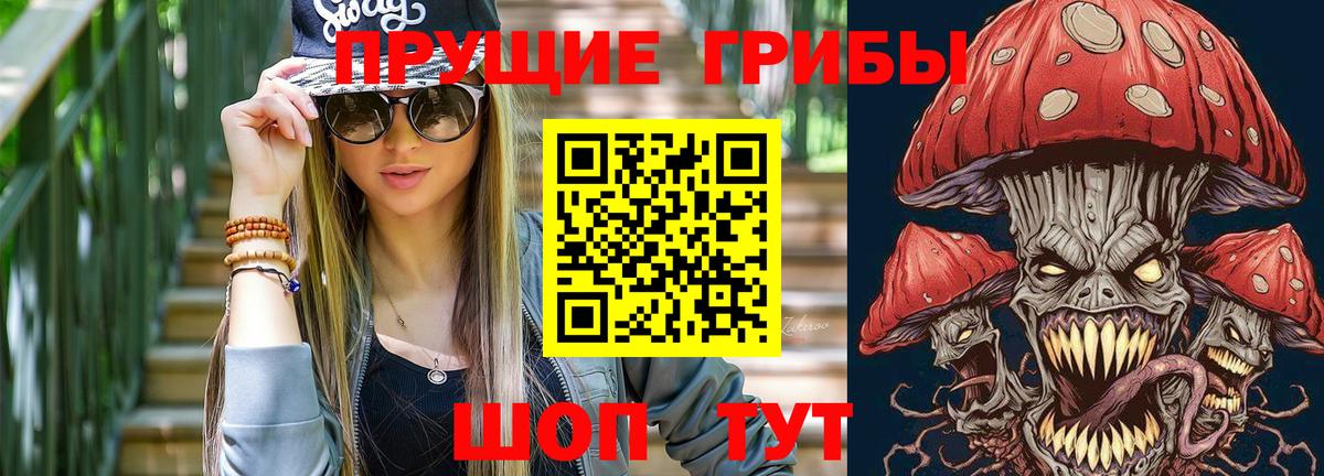 Псилоцибиновые грибы мицелий  Псилоцибиновые грибы мицелий  Клинцы  Вход с VPN 