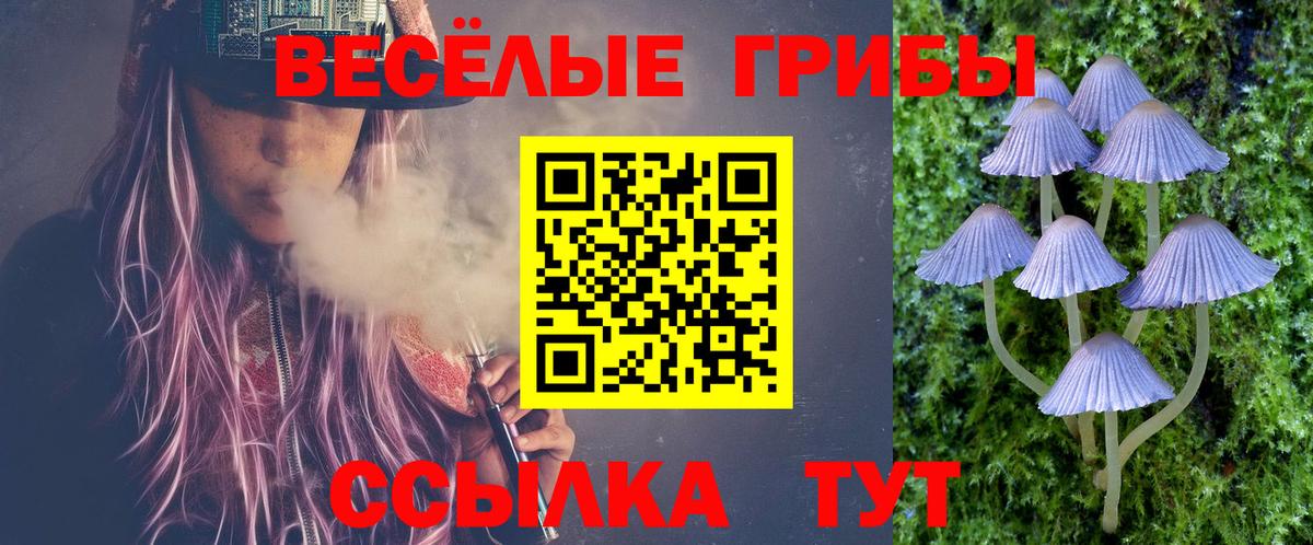 Галлюциногенные грибы прущие грибы Клинцы